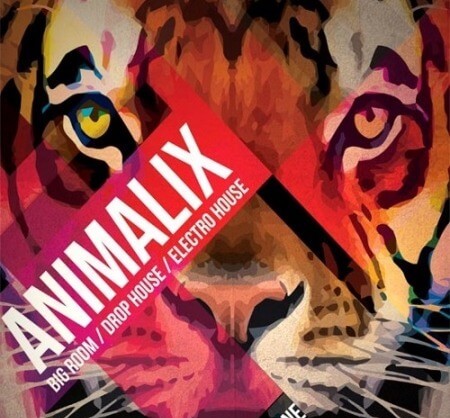 8Dio Animalix Vol.1 Maschine KONTAKT